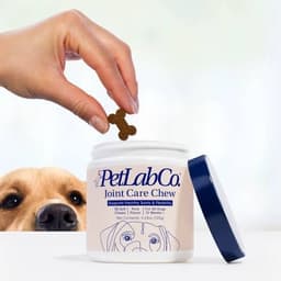 PetLab Co. Joint Care Chews with dog